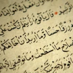 دورة تعلم قواعد اللغة العربية من البداية إلى الإتقان