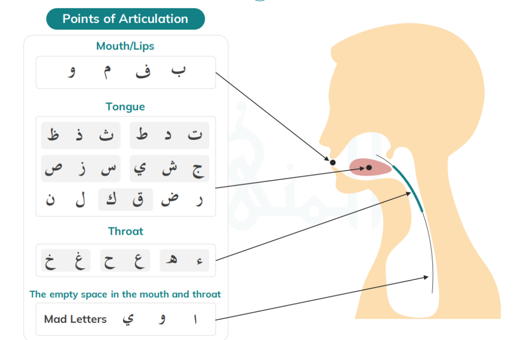 Build Phonemic Awareness Before Reading Full Words